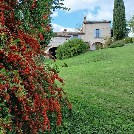 Agriturismo Del Frontino - Lo Studio Acqualagna Exteriör bild