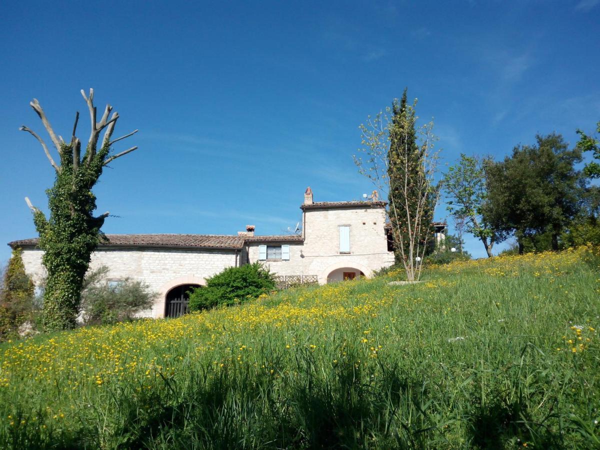 Agriturismo Del Frontino - Lo Studio Acqualagna Exteriör bild