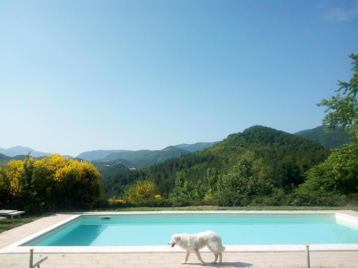 Agriturismo Del Frontino - Lo Studio Acqualagna Exteriör bild