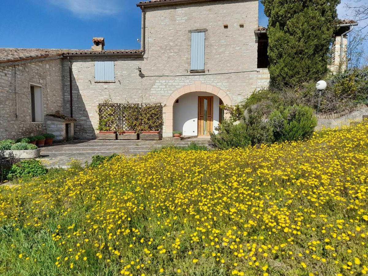 Agriturismo Del Frontino - Lo Studio Acqualagna Exteriör bild