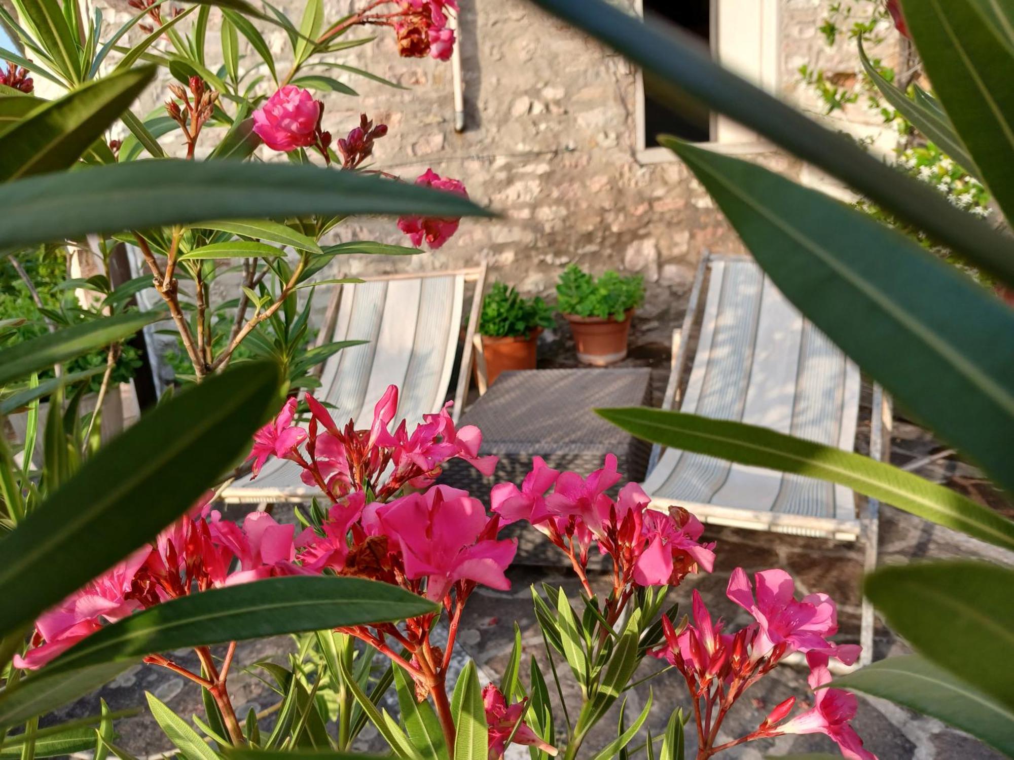 Agriturismo Del Frontino - Lo Studio Acqualagna Exteriör bild