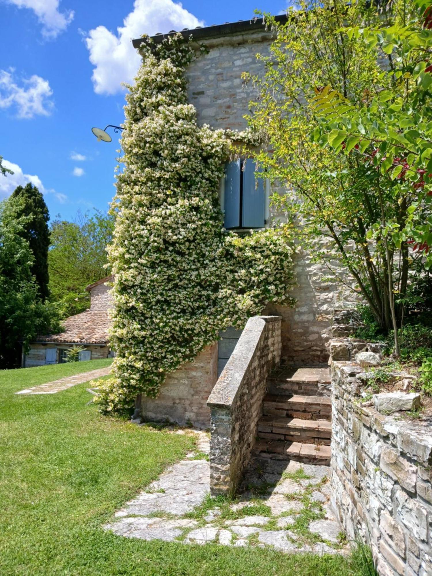 Agriturismo Del Frontino - Lo Studio Acqualagna Exteriör bild