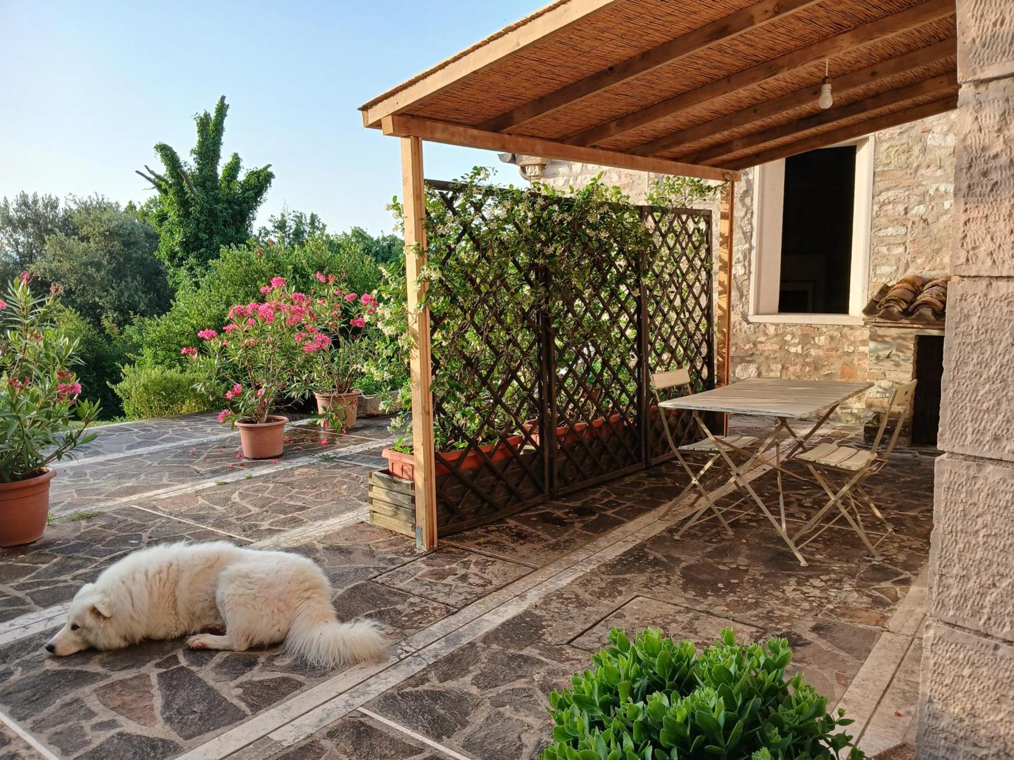 Agriturismo Del Frontino - Lo Studio Acqualagna Exteriör bild